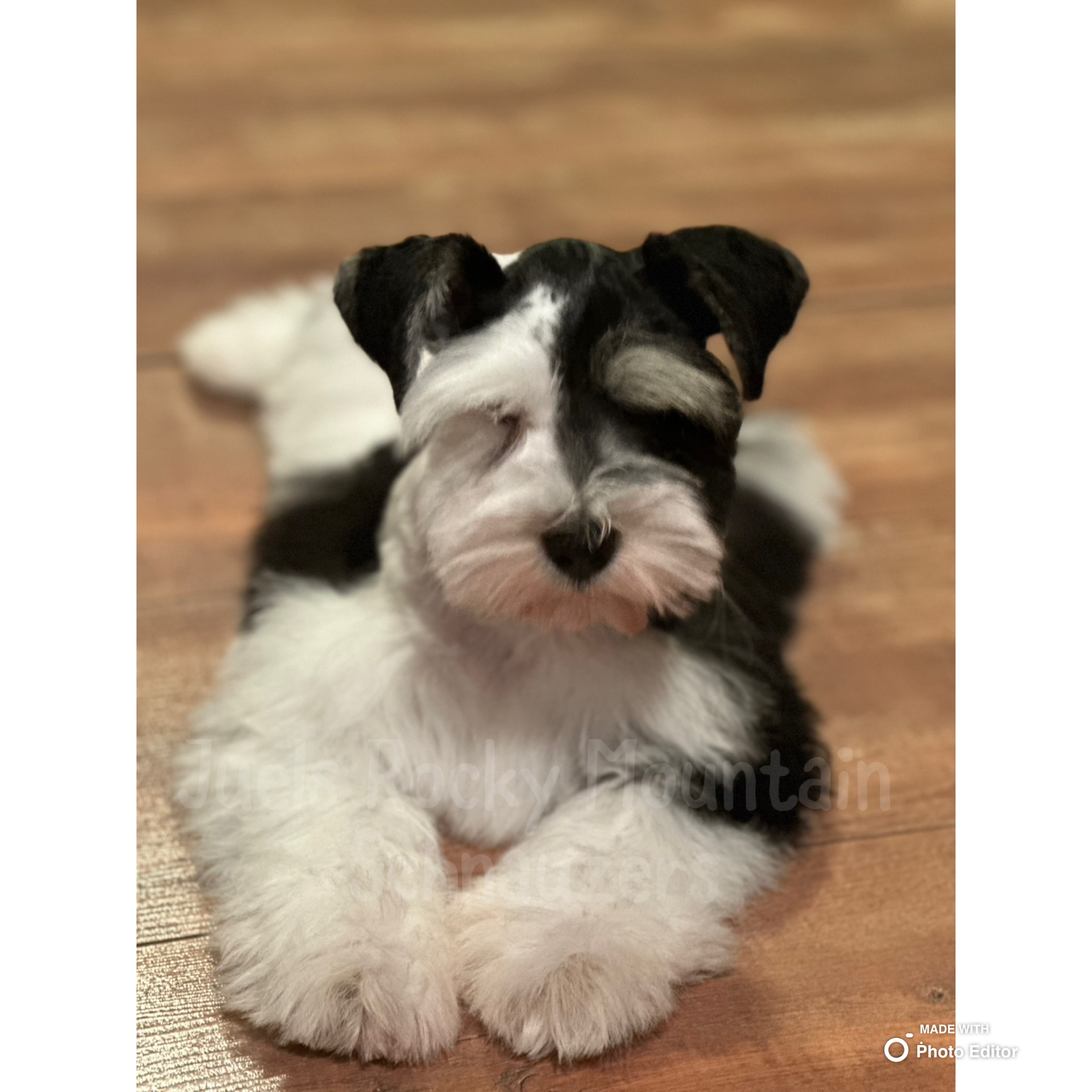 boy